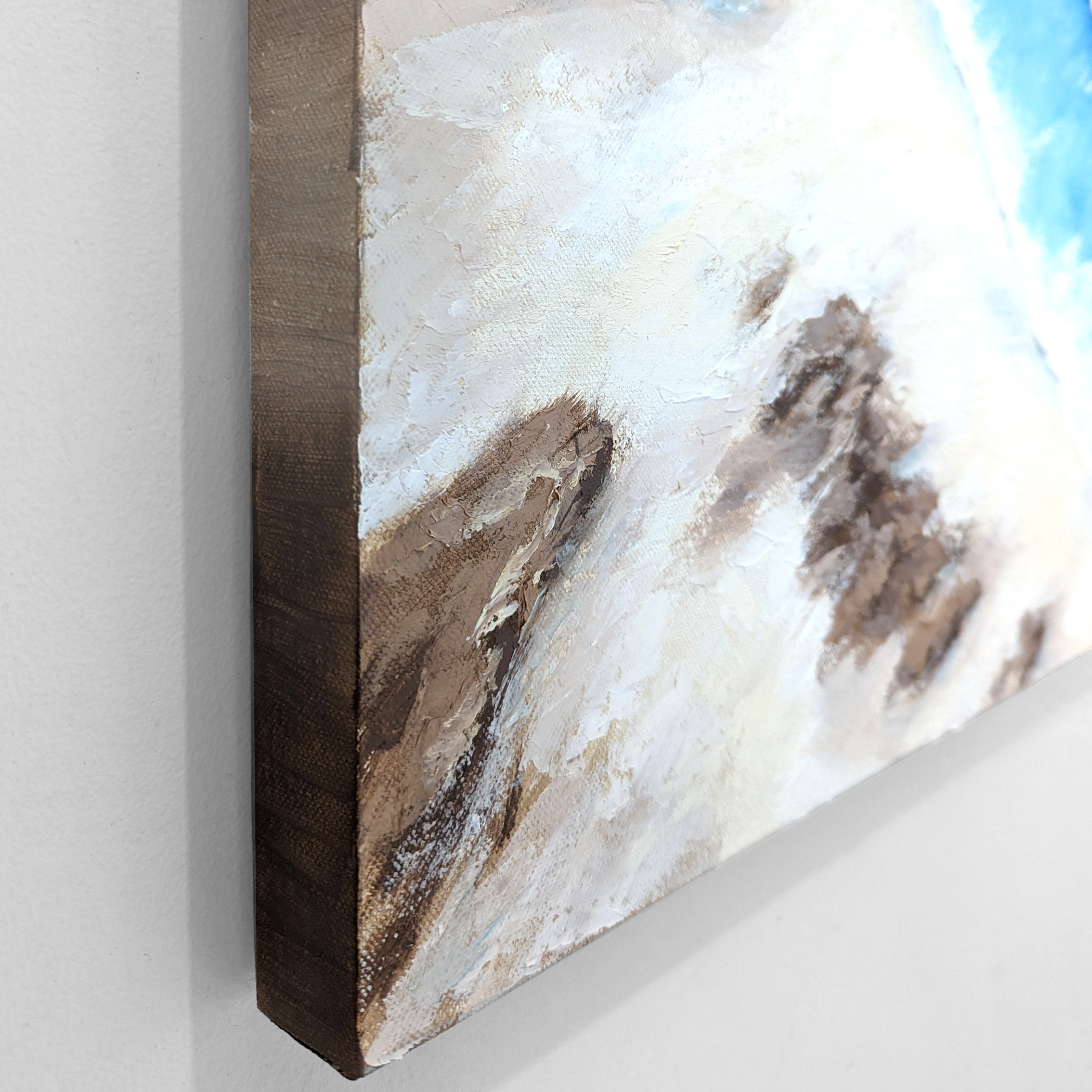 Pxl 20240130 050835614.mp~2