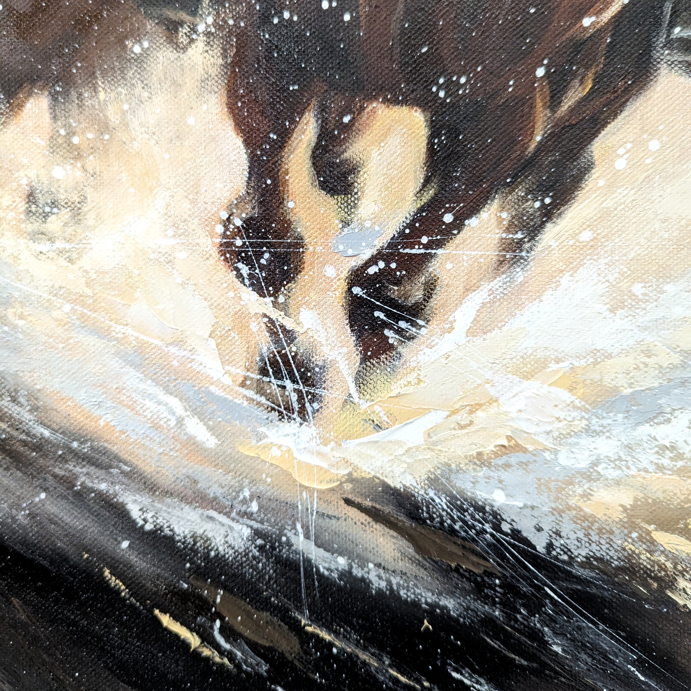 Pxl 20240531 043508783.mp~2