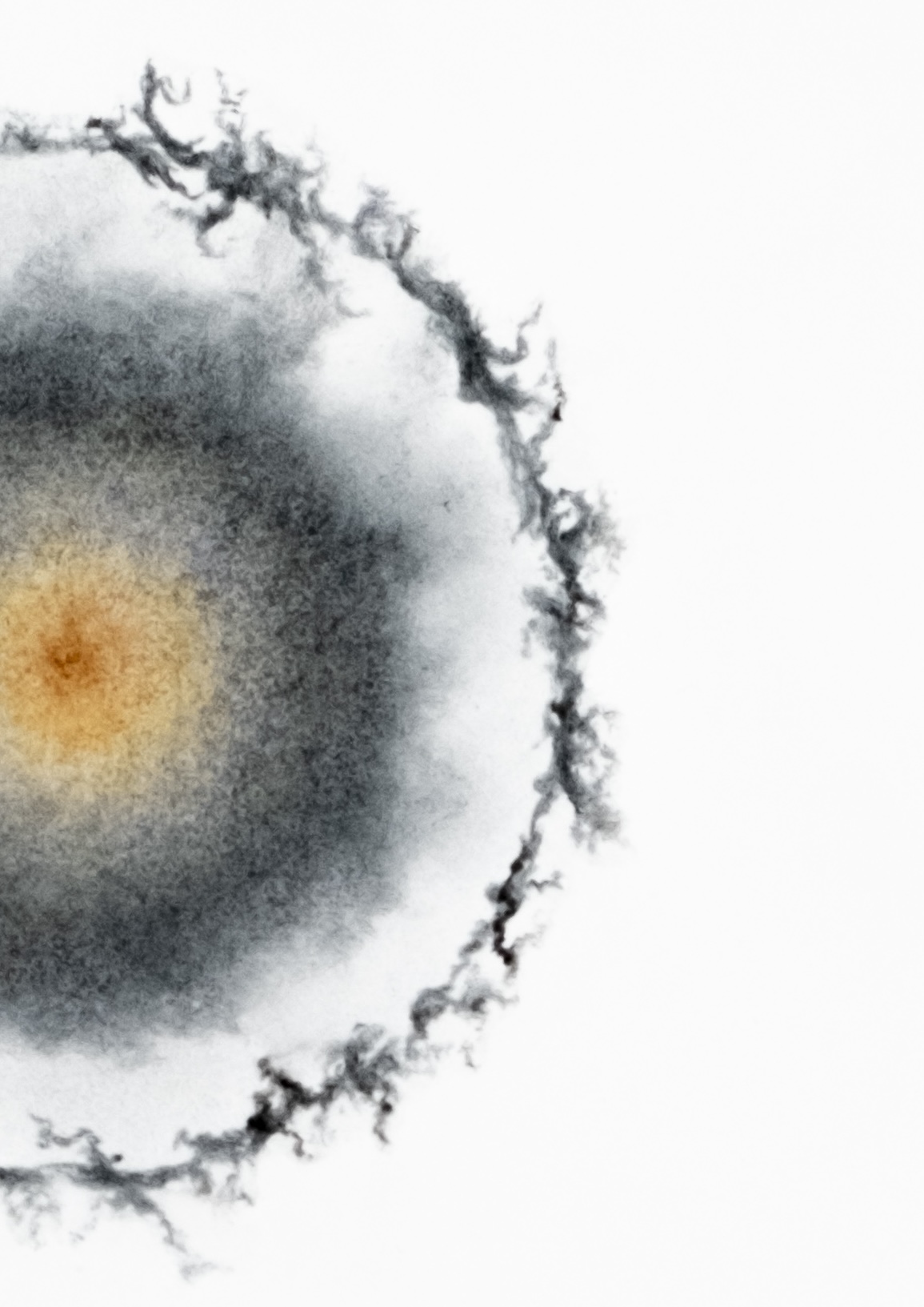 Rihasa Hill Cc10 Internal Designs 2