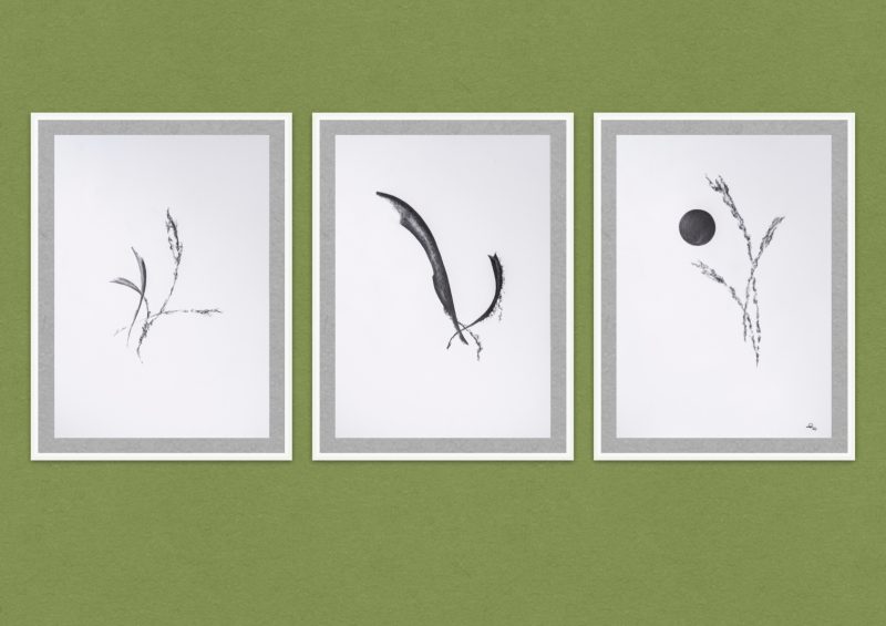 Black and White Triptych