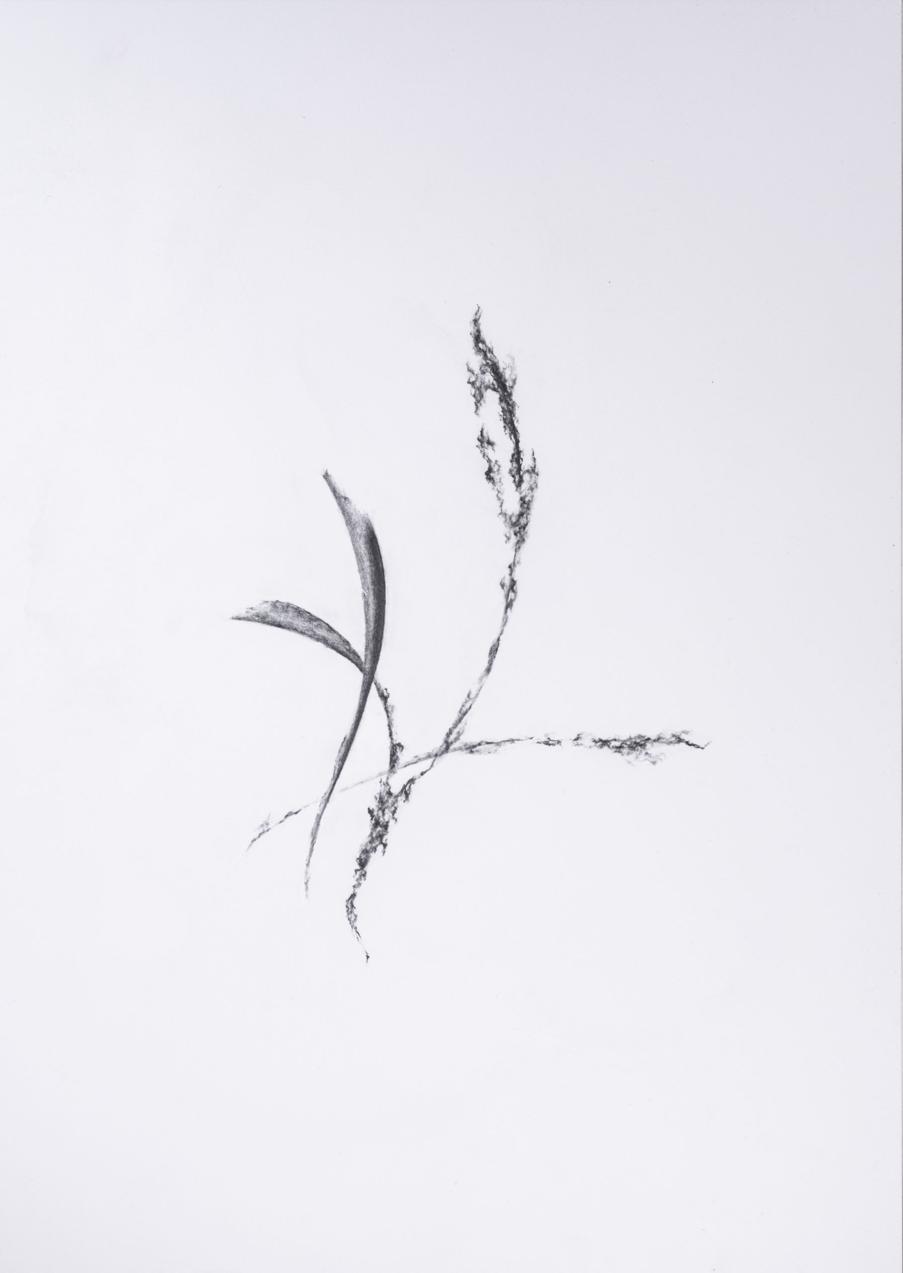 Rihasa Hill Ca5 Black And White Triptych 1