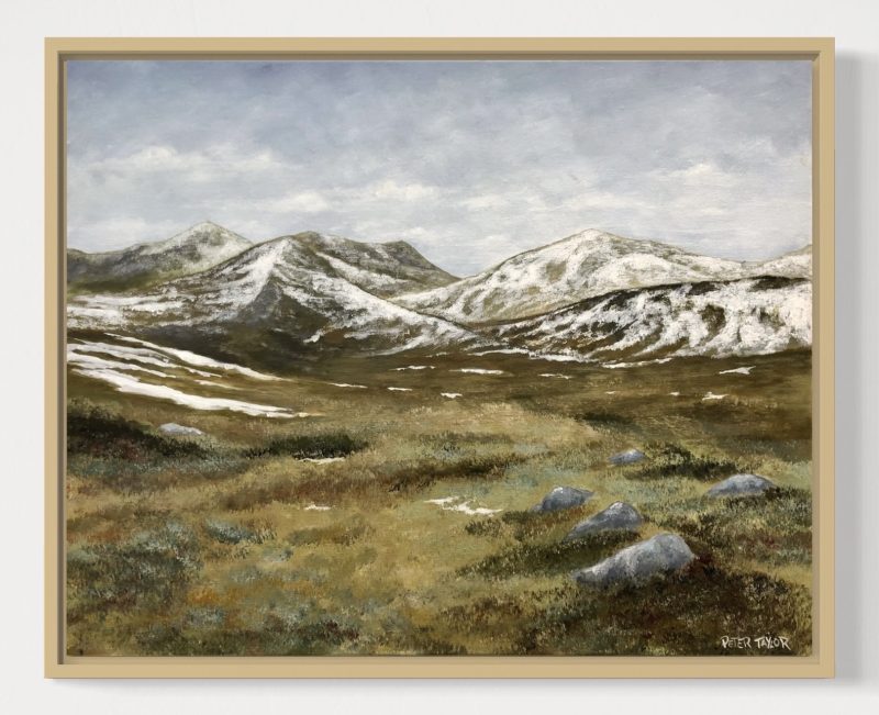 Snowy Mountains dreaming