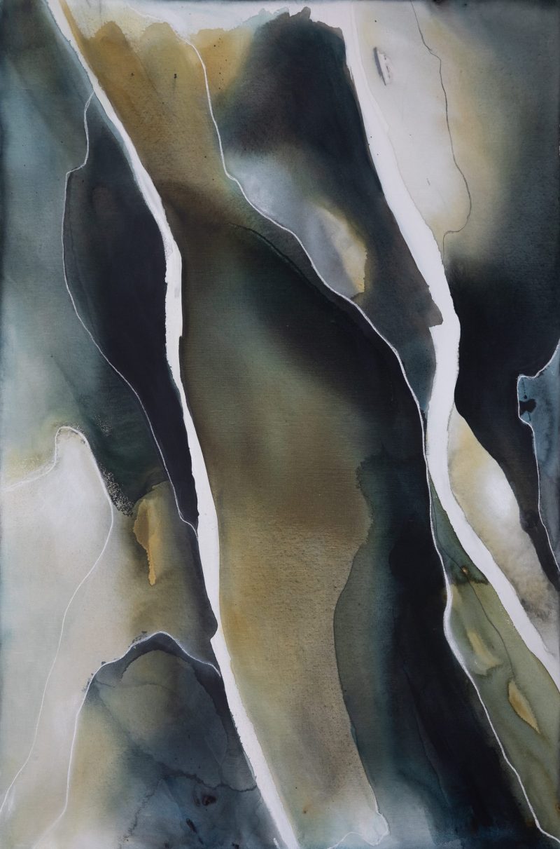 In the Shadow of Trees