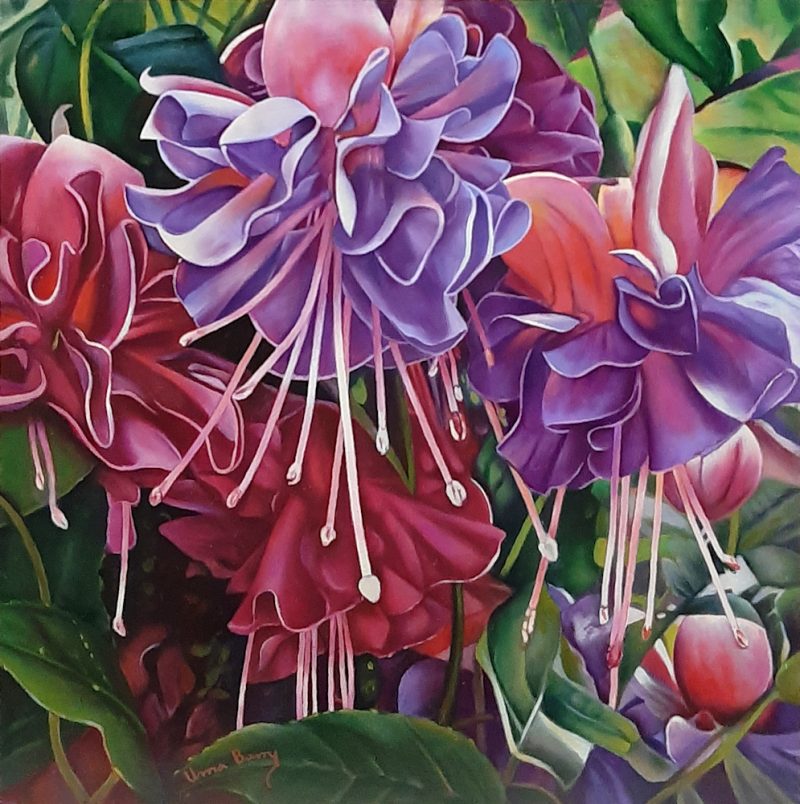 Cecile, Colours of Brillance