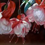 User 14312 Uma Barry 2025 07 25 T 03 46 57 455 Z Edit20241121 153345.jpg Lighten.jpg