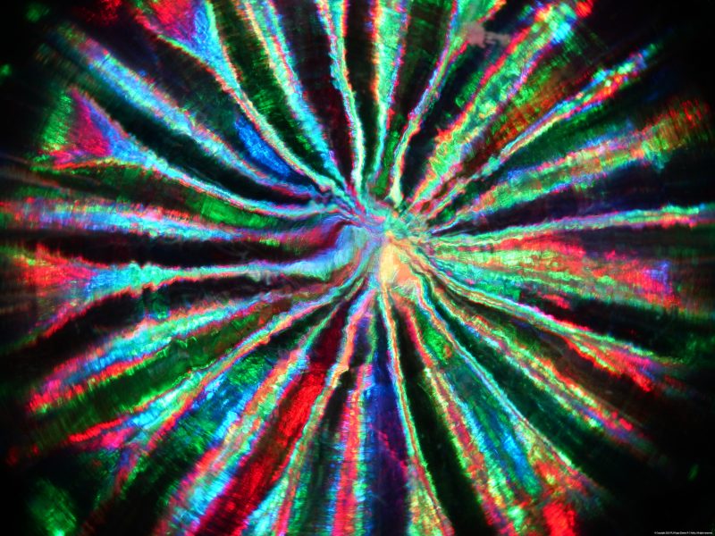 Drancel Light Art – Radiant Wheel No 2 – Discount Edition