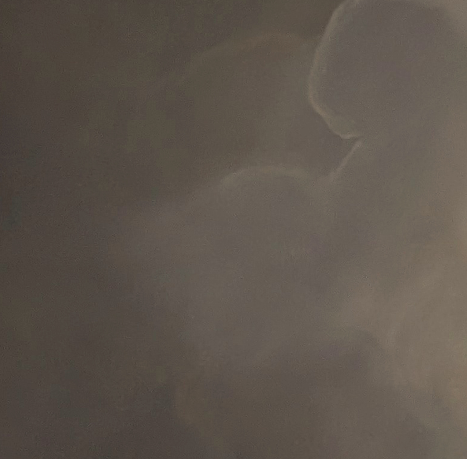 Calm Currents Gabriela Azar Schreiner E