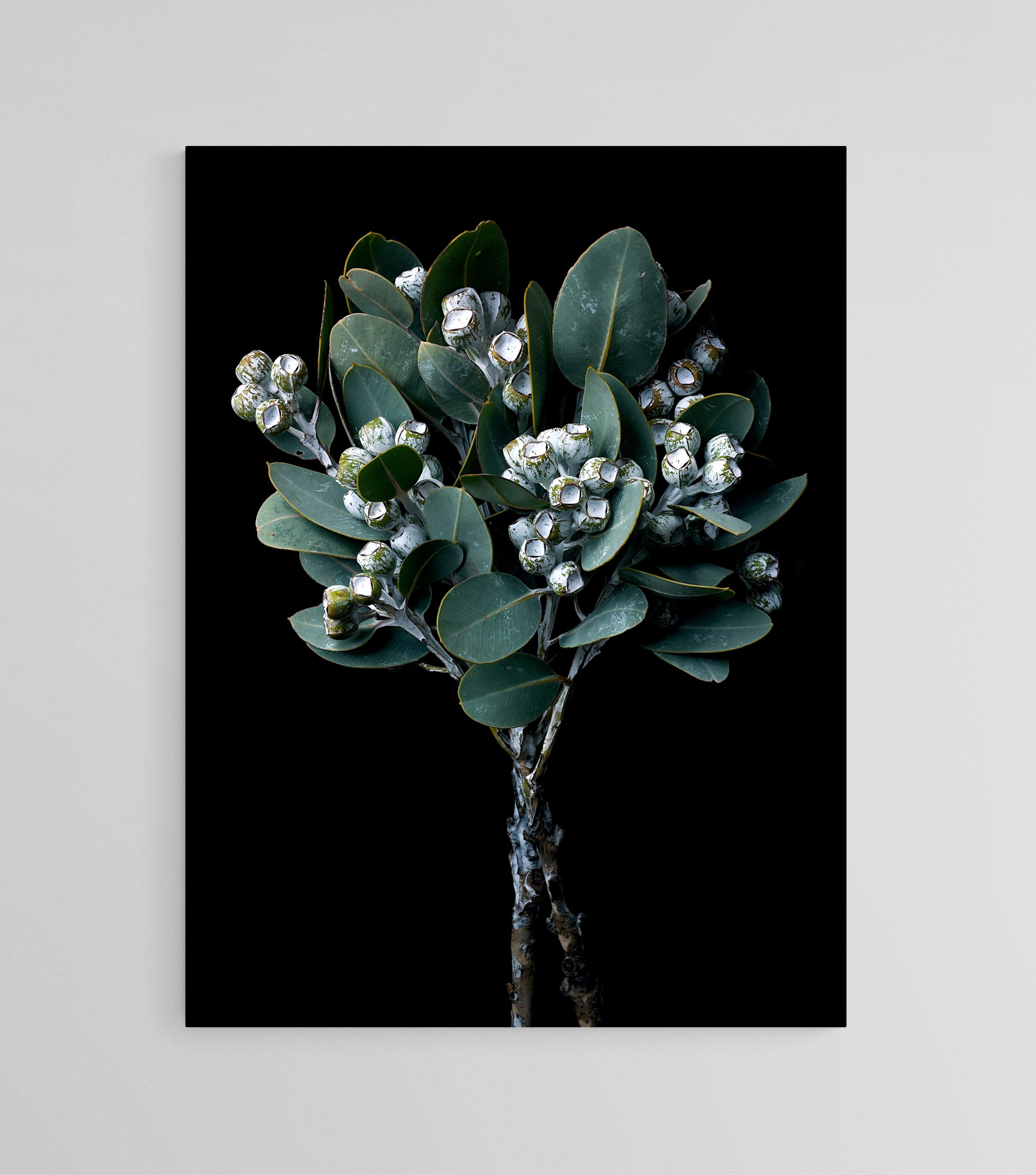 Empty Room 2025 07 24t133849.913