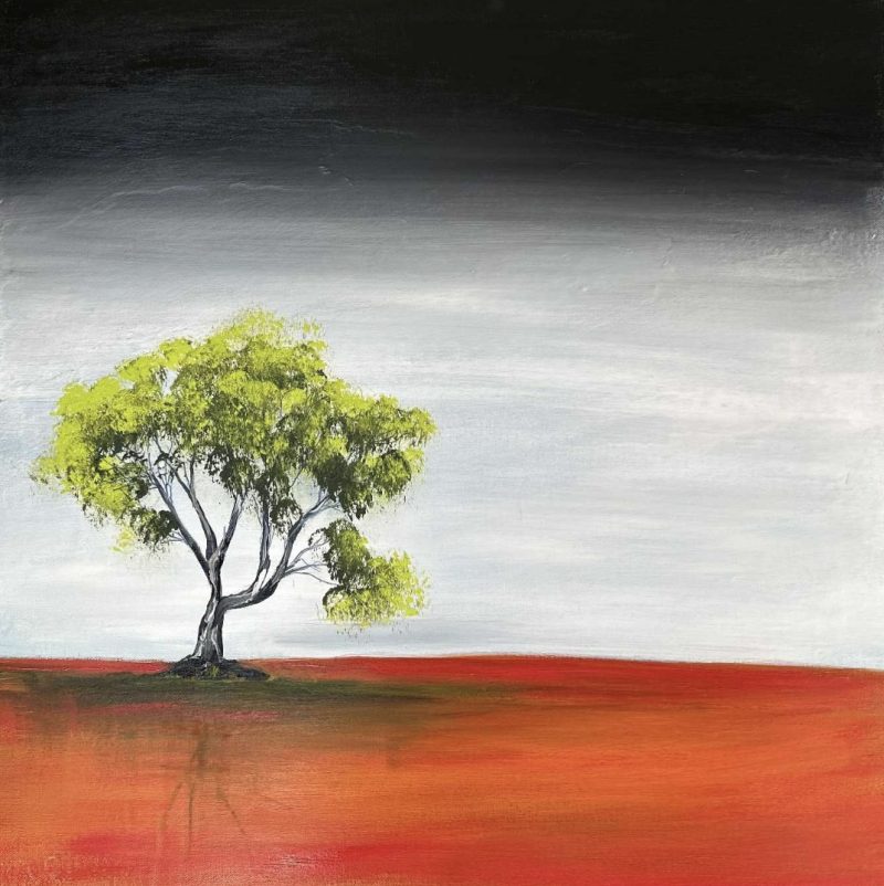 Solitude in the wild