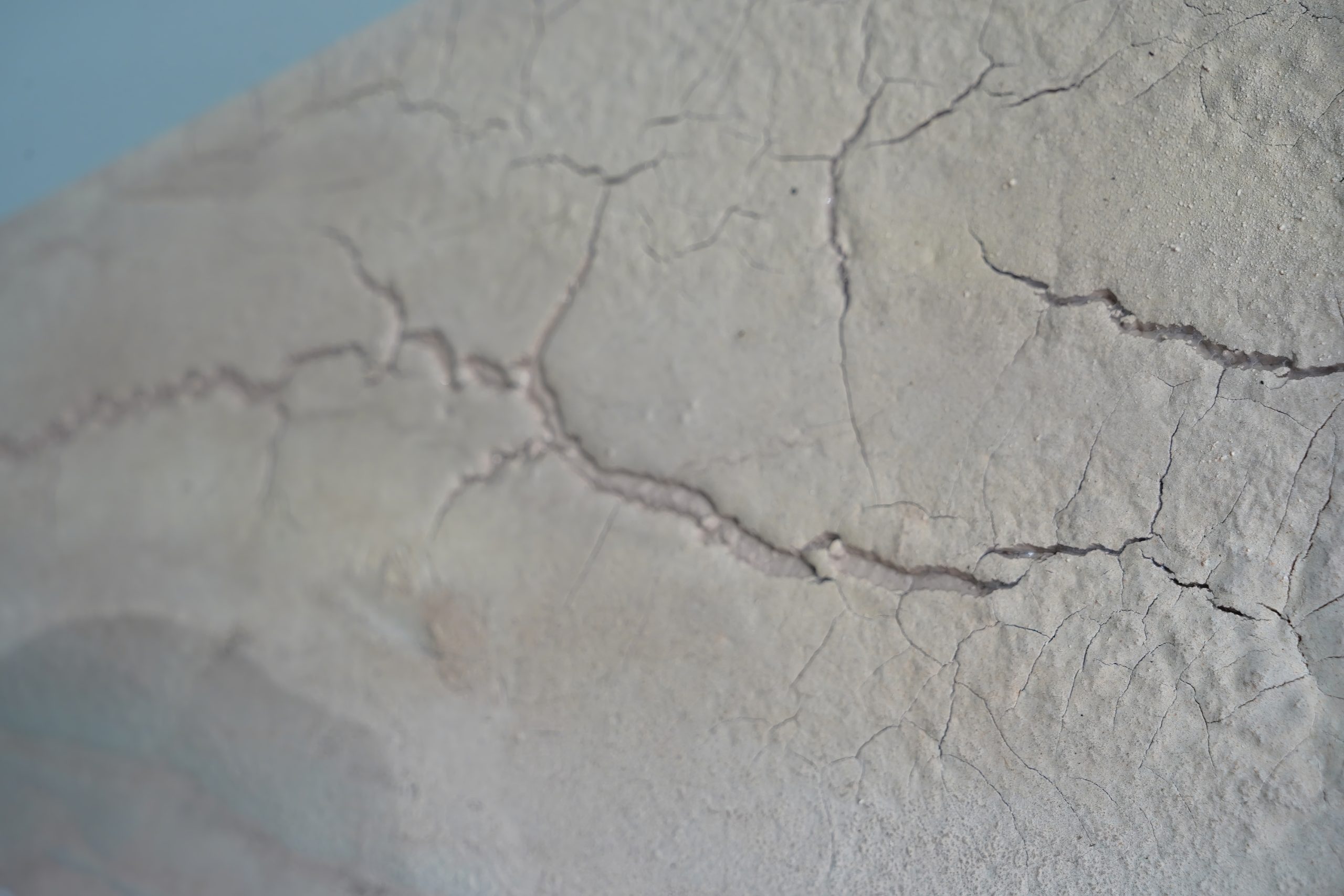 Dsc03205upscaled Cgi 0.5x