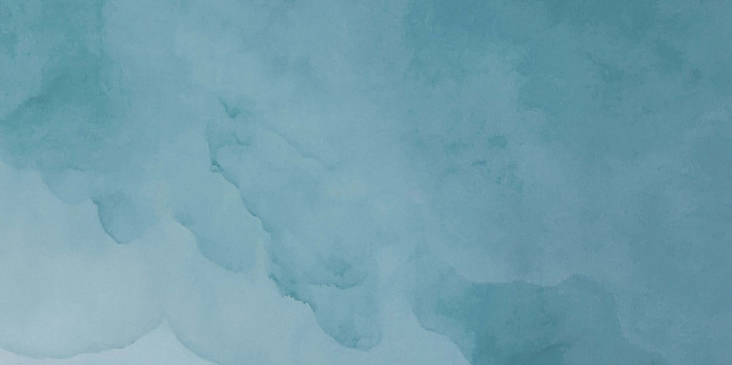 The Pause Gabriela Azar Schreiner Ggg