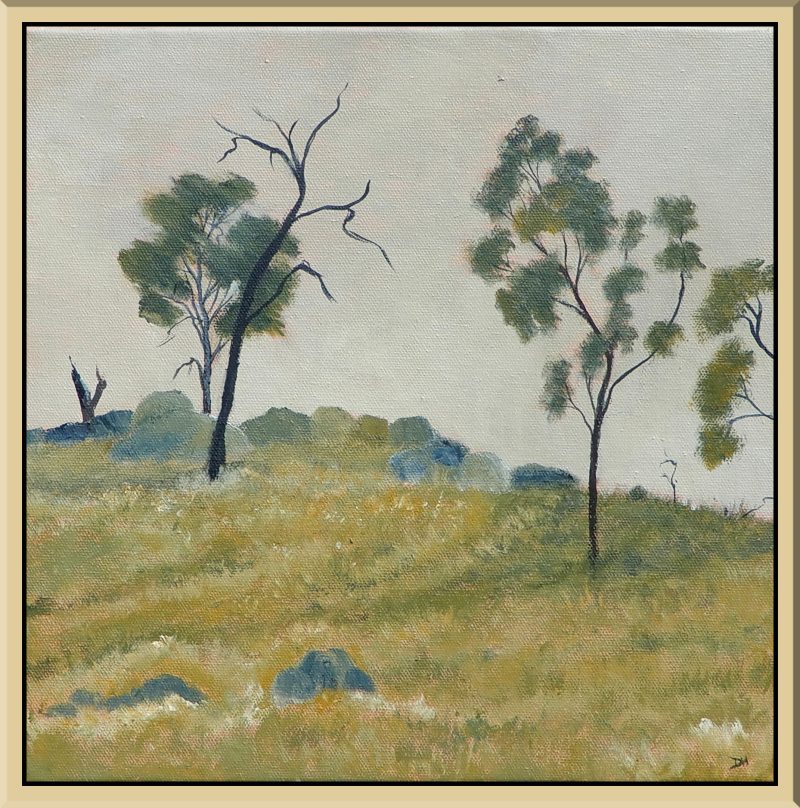 Riverina Hillside -Framed