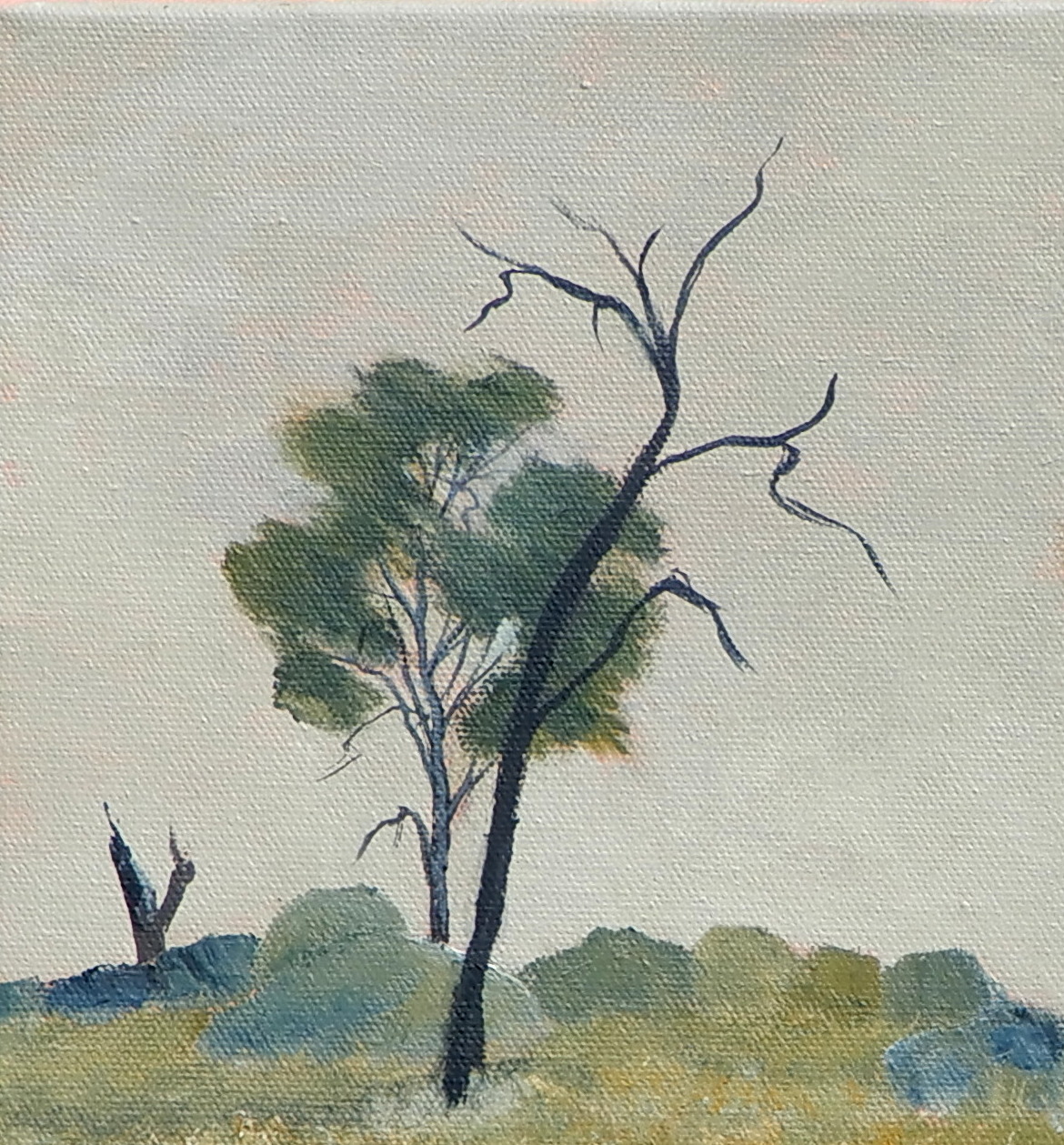 Doodie Herman Riverina Hillside Framed Landscape 002