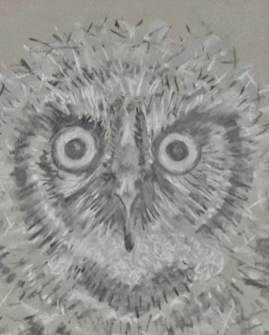 Screenshot 20250810 092301 Gallery