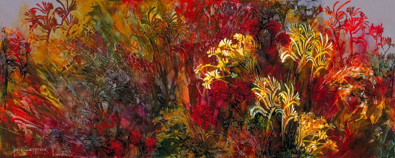 Kangaroo Paw Hinterland