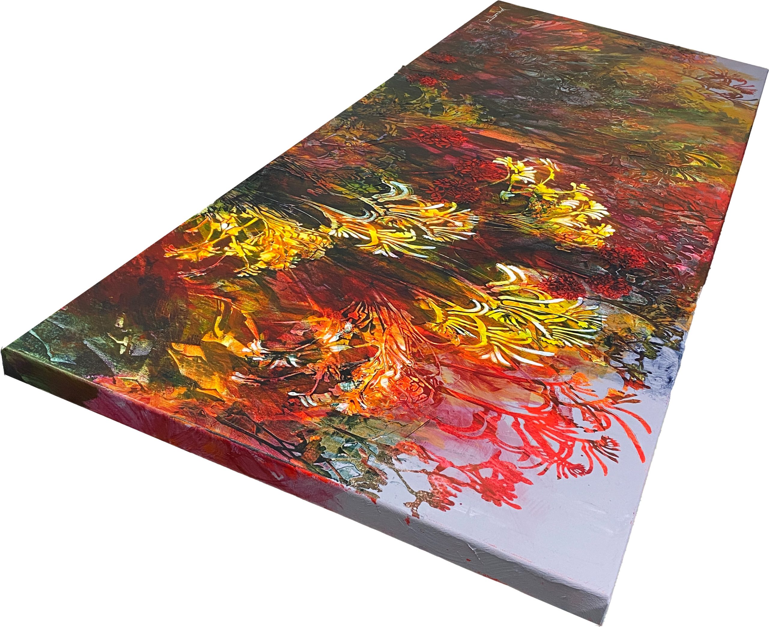 Kangaroo Paw Hinterland Edge