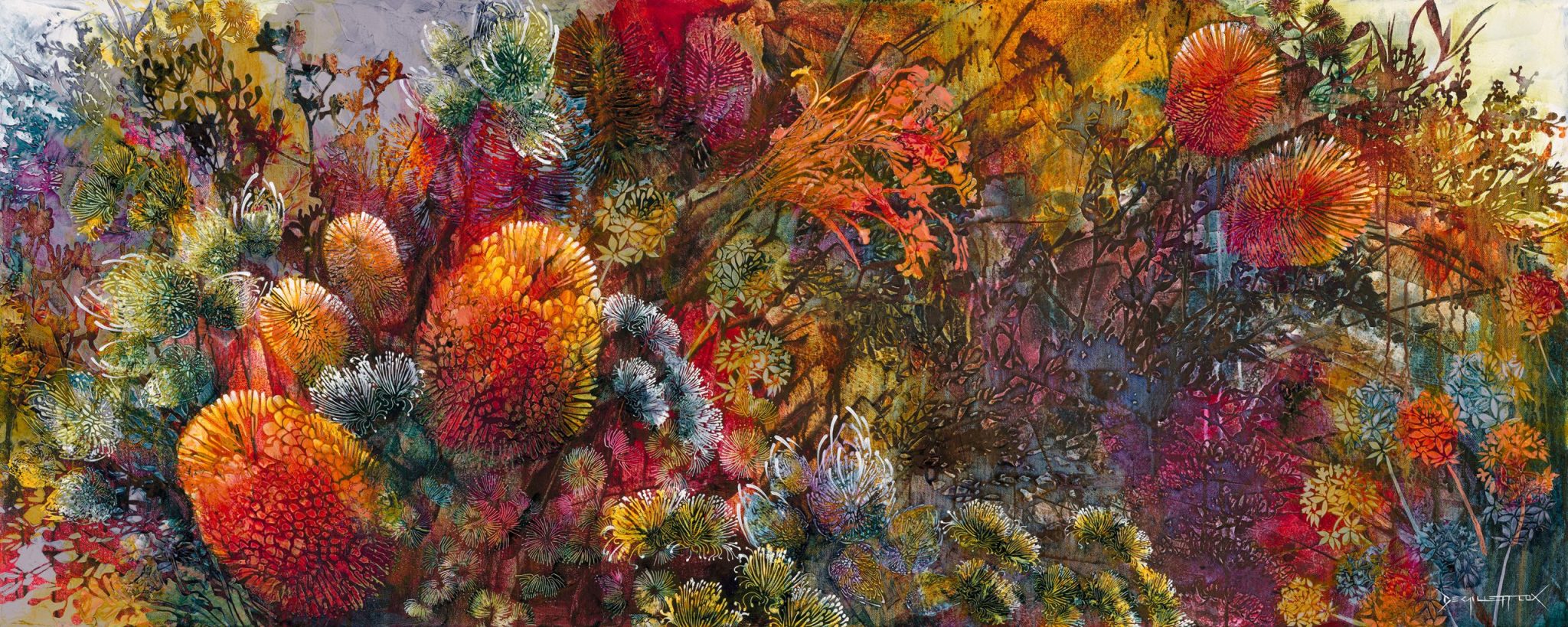 D Gillett 263 Hakea Hinterland 30cm Proof 2048x819