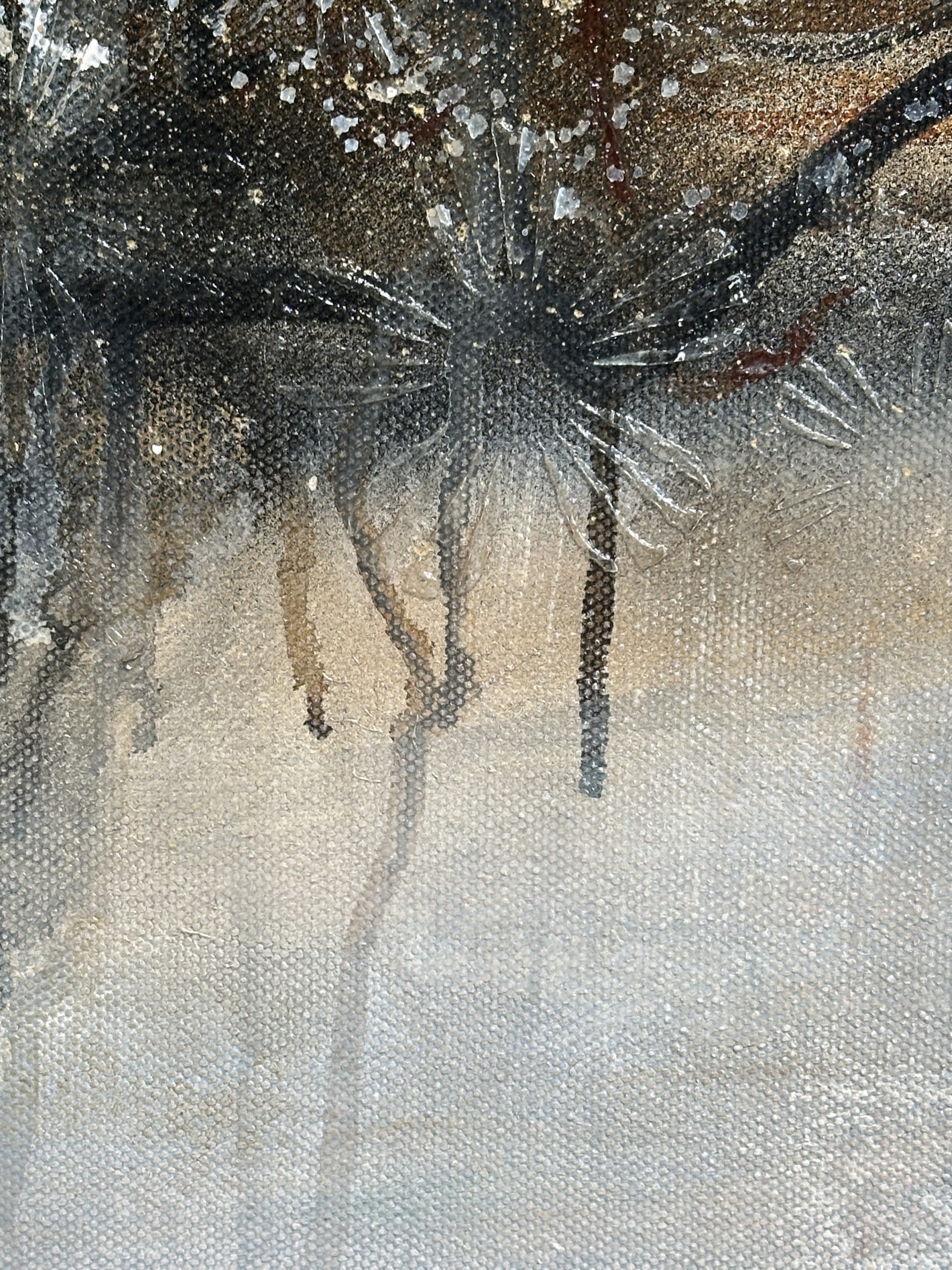 The Fleeting Shimmer Close Up 1