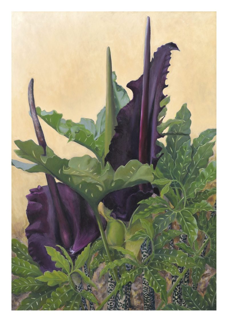 Voodoo Lilies Lt Ed Print 2/25