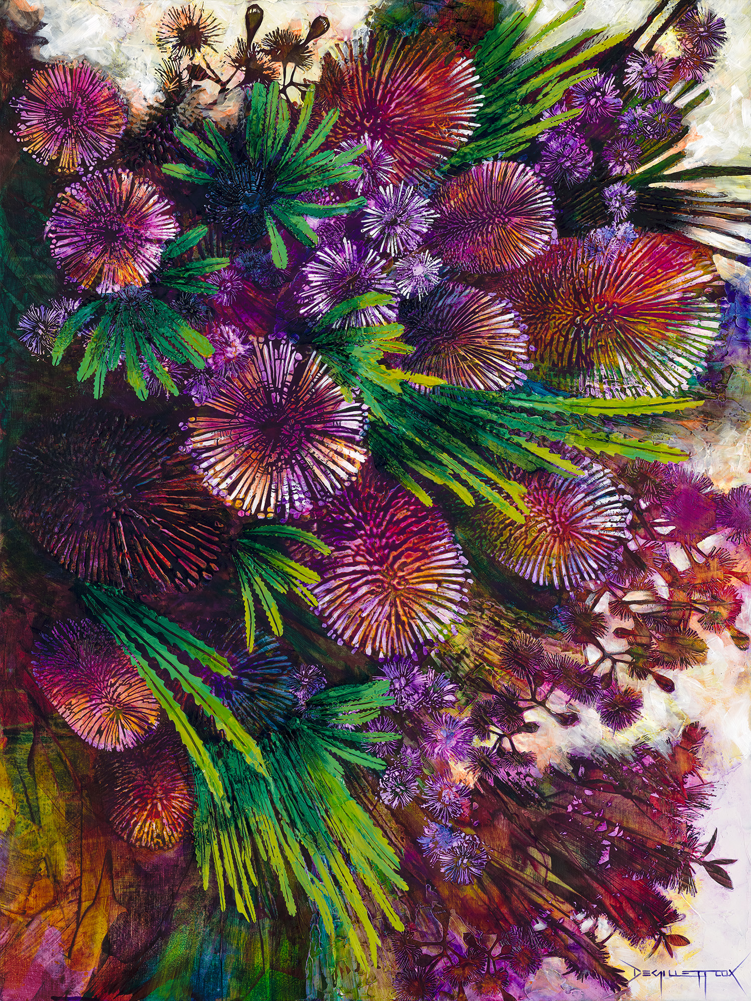 D Gillett 260 Banksia Cascade Competition