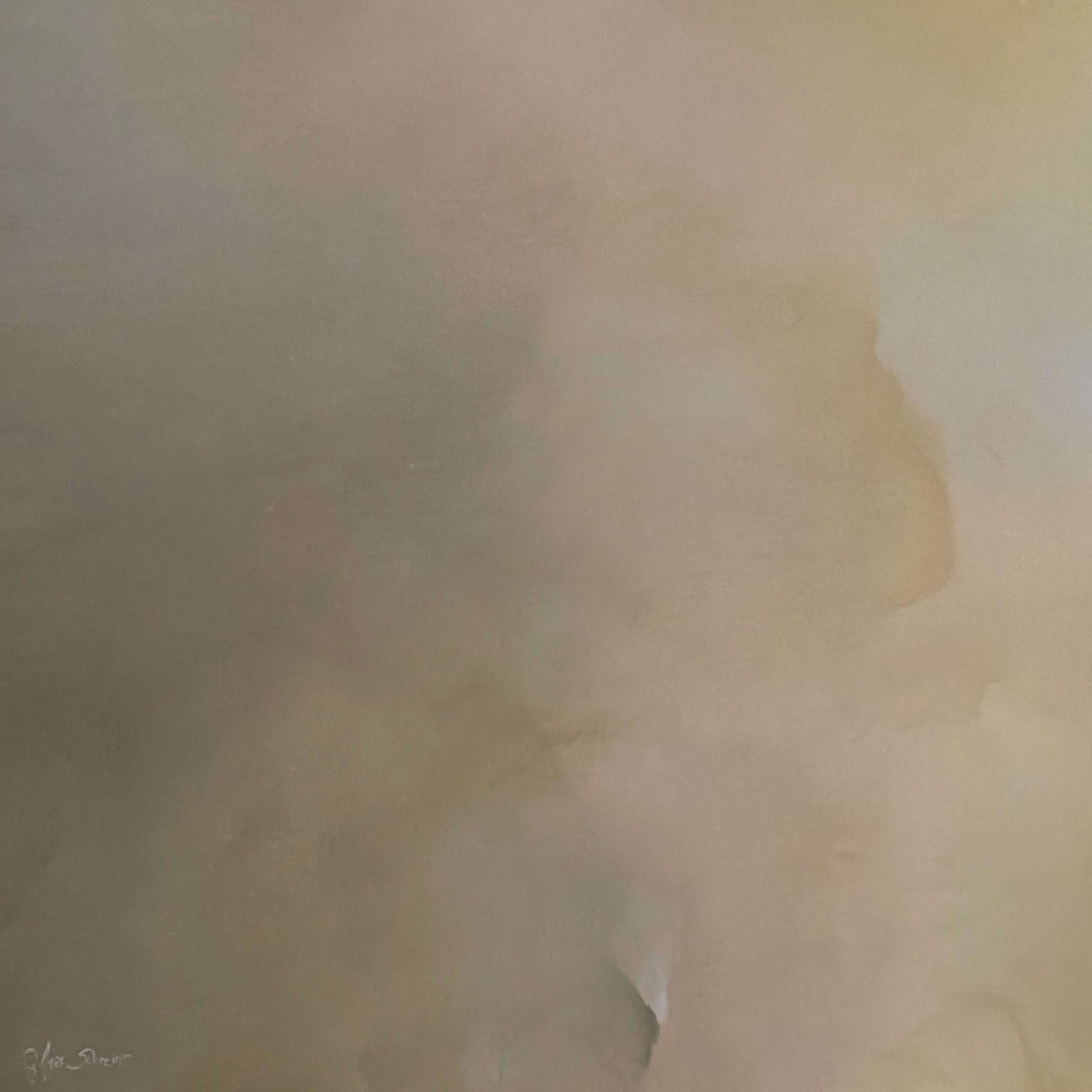 Whispered Horizons Gabriela Azar Schreiner