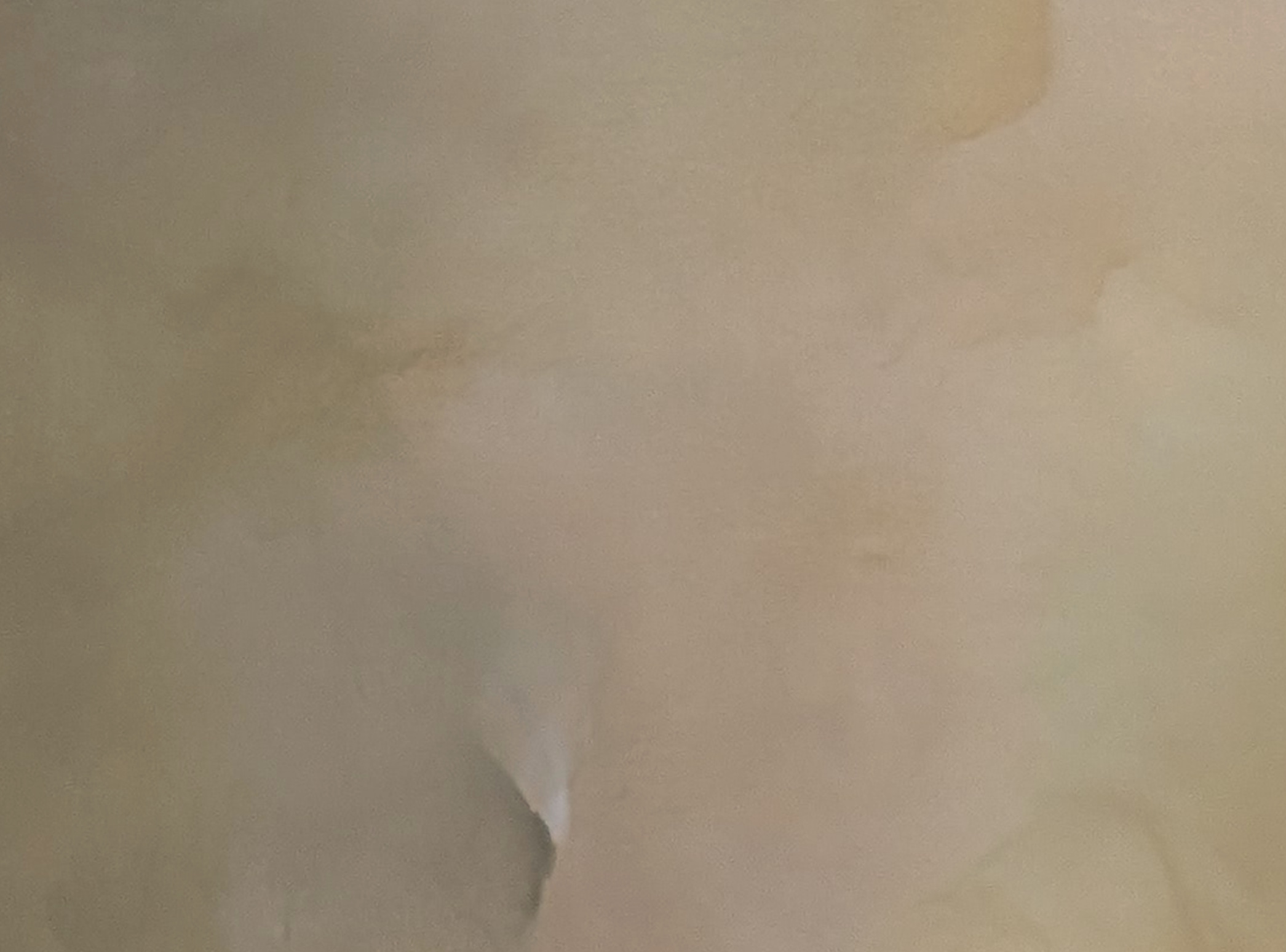 Whispered Horizons Gabriela Azar Schreiner 1