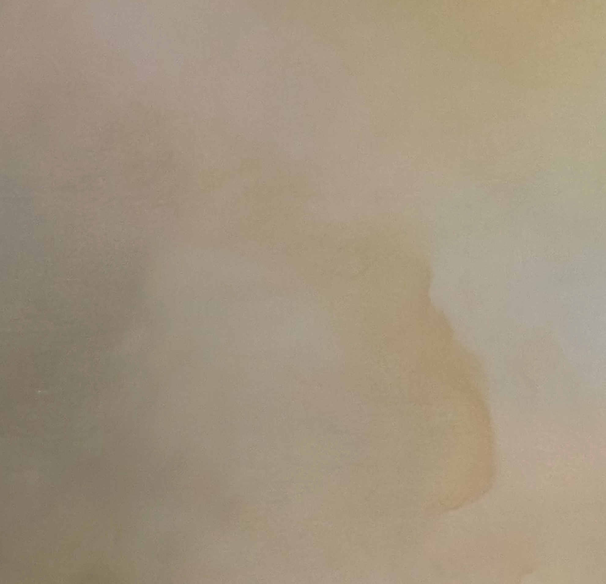 Whispered Horizons Gabriela Azar Schreiner 12e