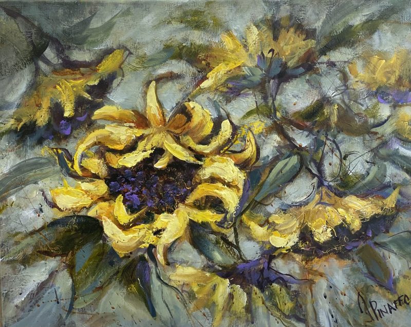 Wind blown sunflowers