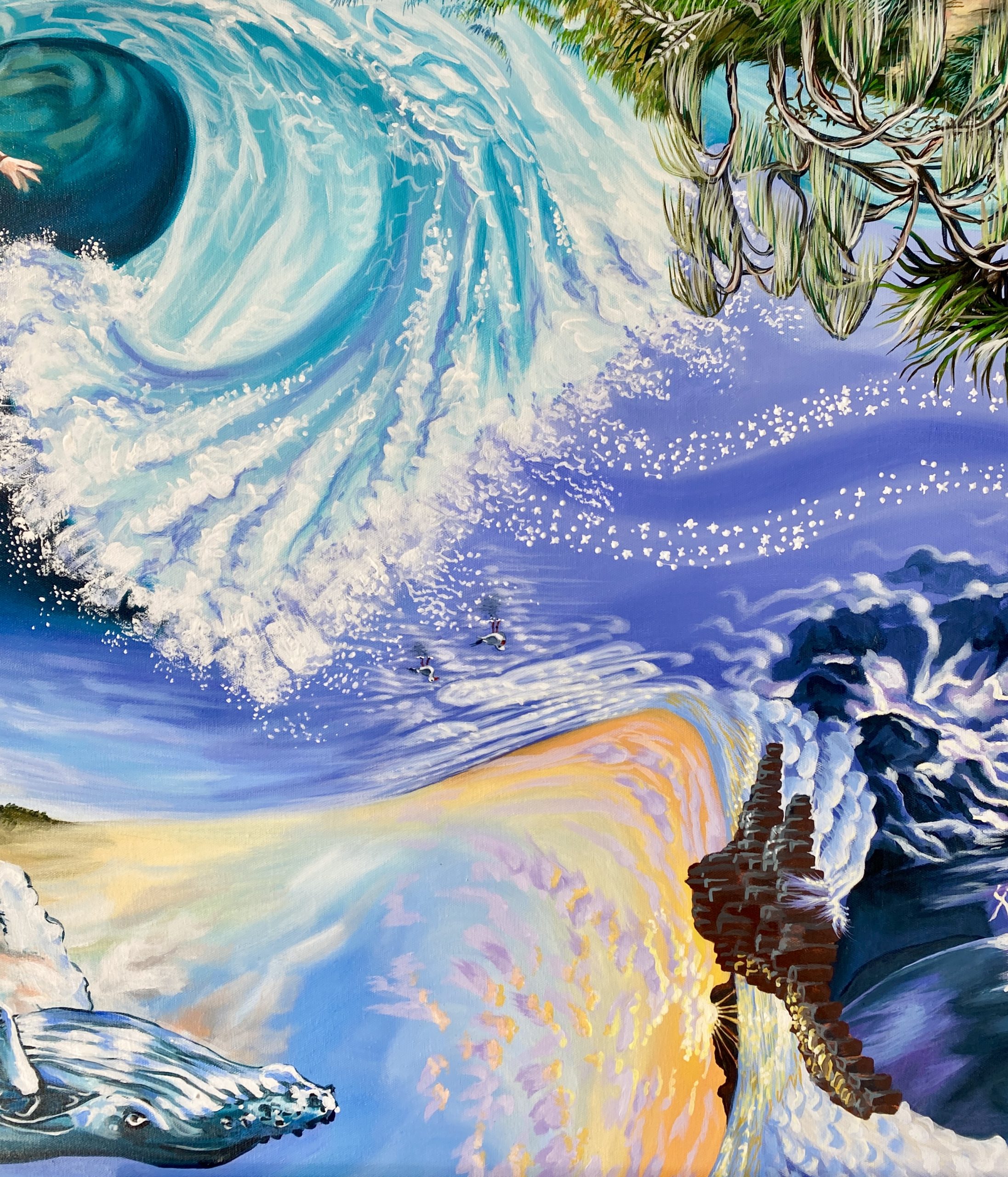 Connection Fingal Headland Close Up1