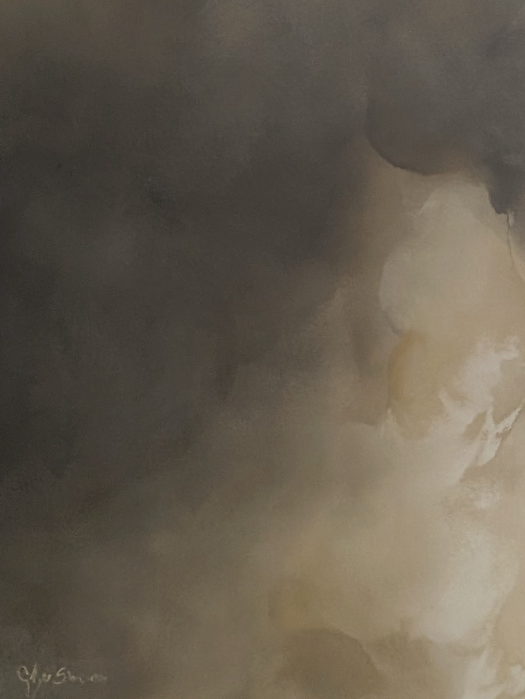 Vanishing Light Gabriela Azar Schreiner 1