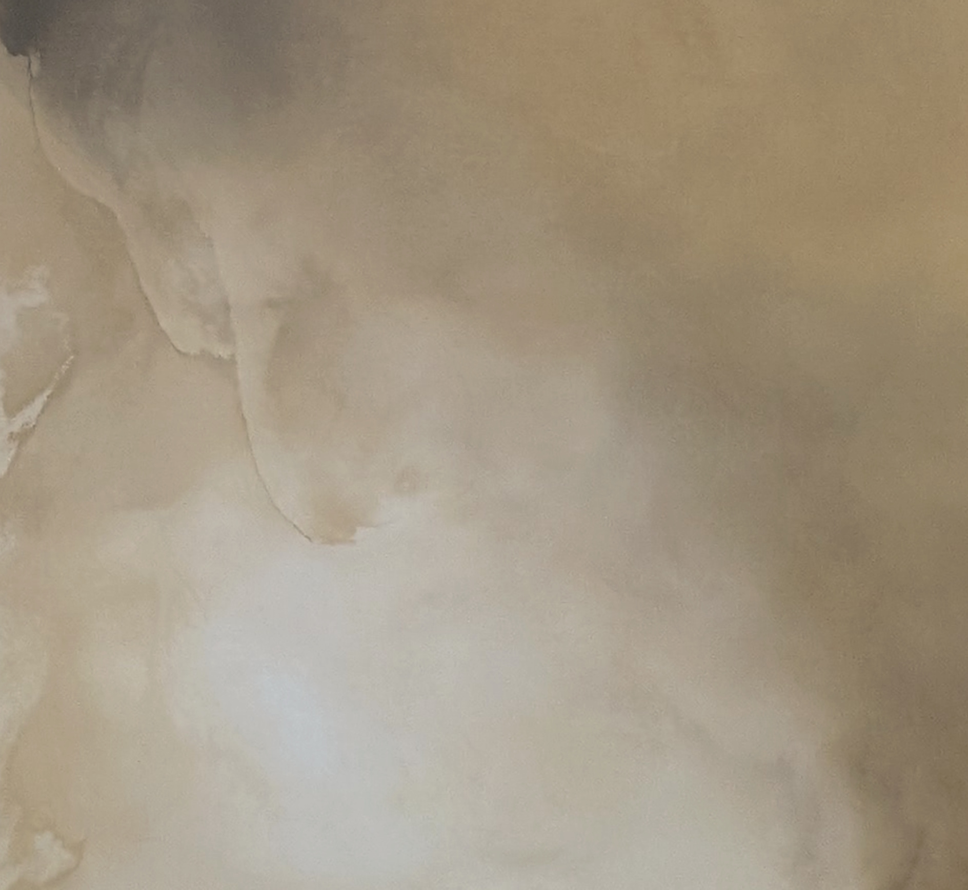 Vanishing Light Gabriela Azar Schreiner 12