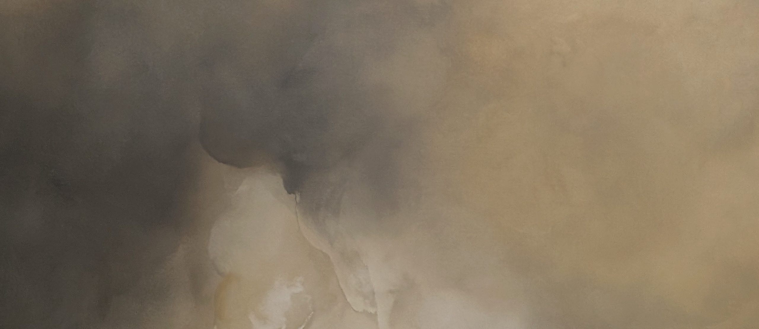 Vanishing Light Gabriela Azar Schreiner 12d