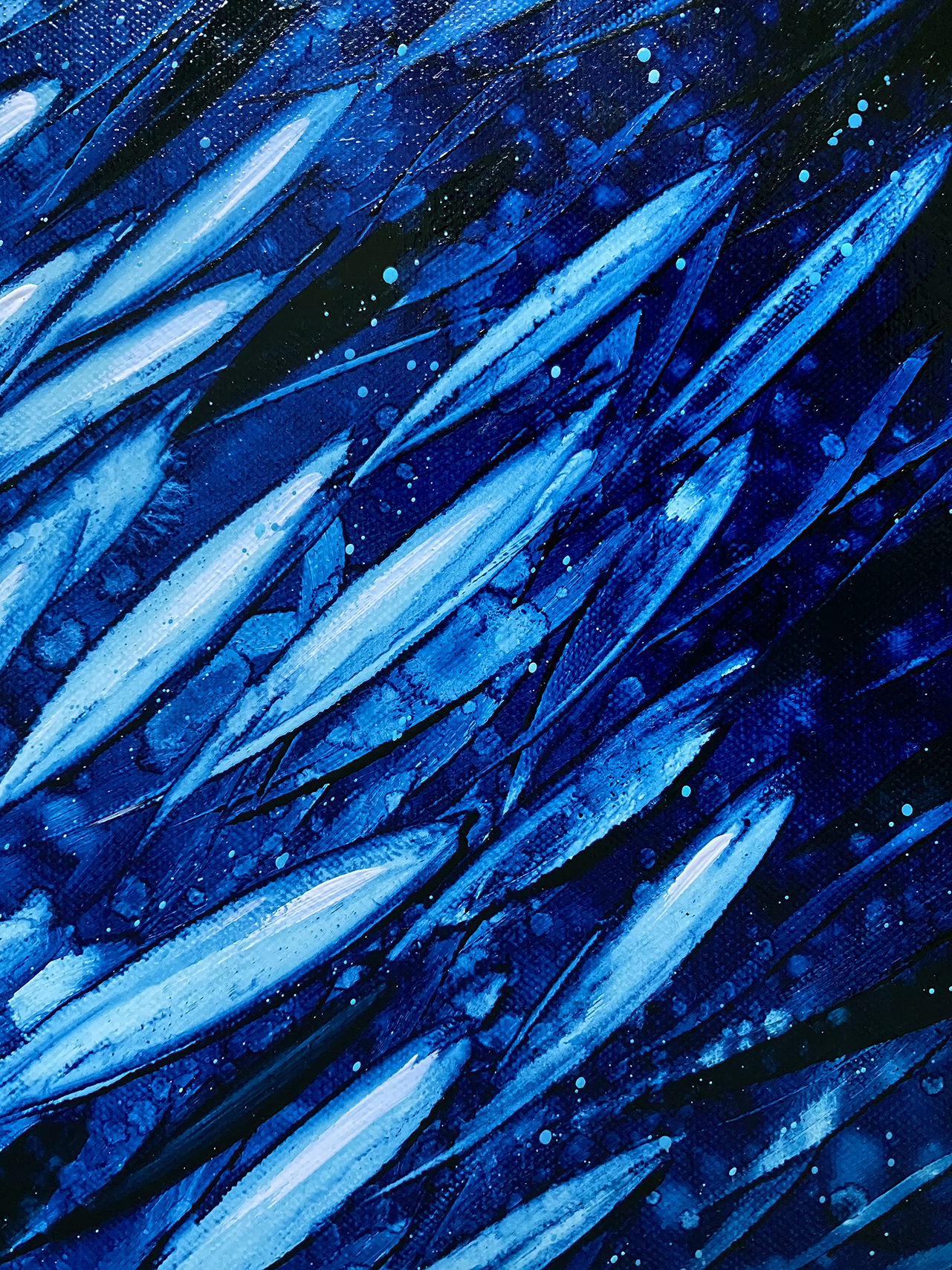 A School Of Fish Close Lr