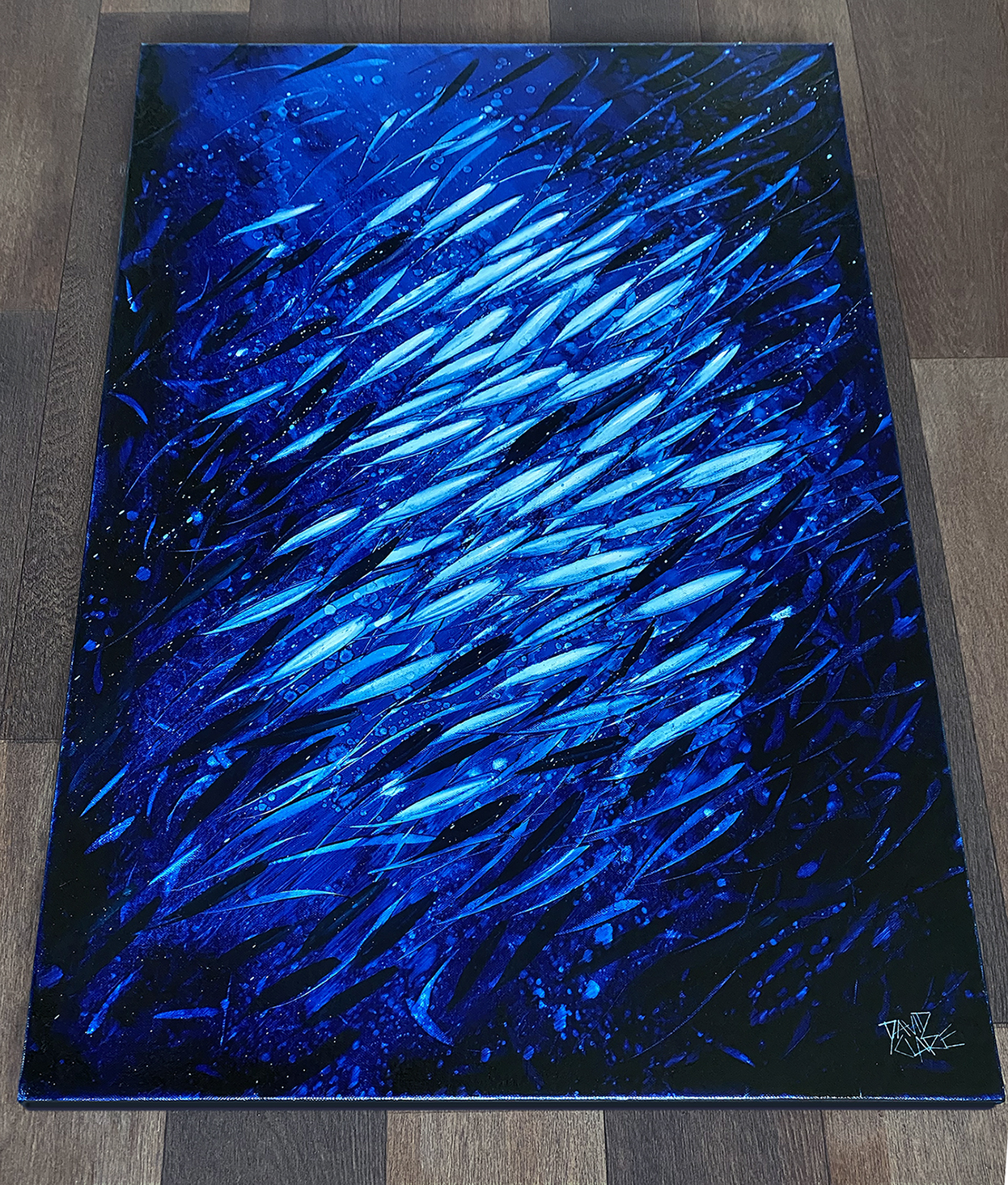 A School Of Fish Bottom Lr