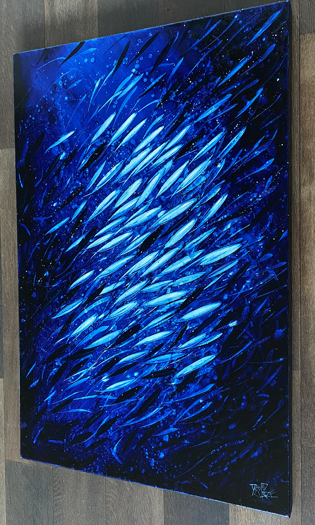 A School Of Fish Rs Lr