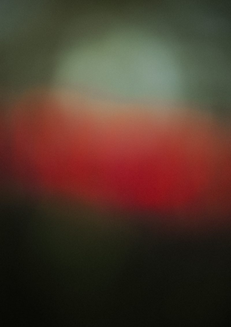 I didn’t say the thing you said I said, 2025