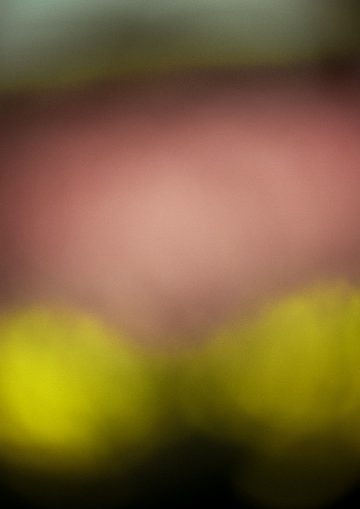 Anger and empathy aren’t mutually exclusive, 2025