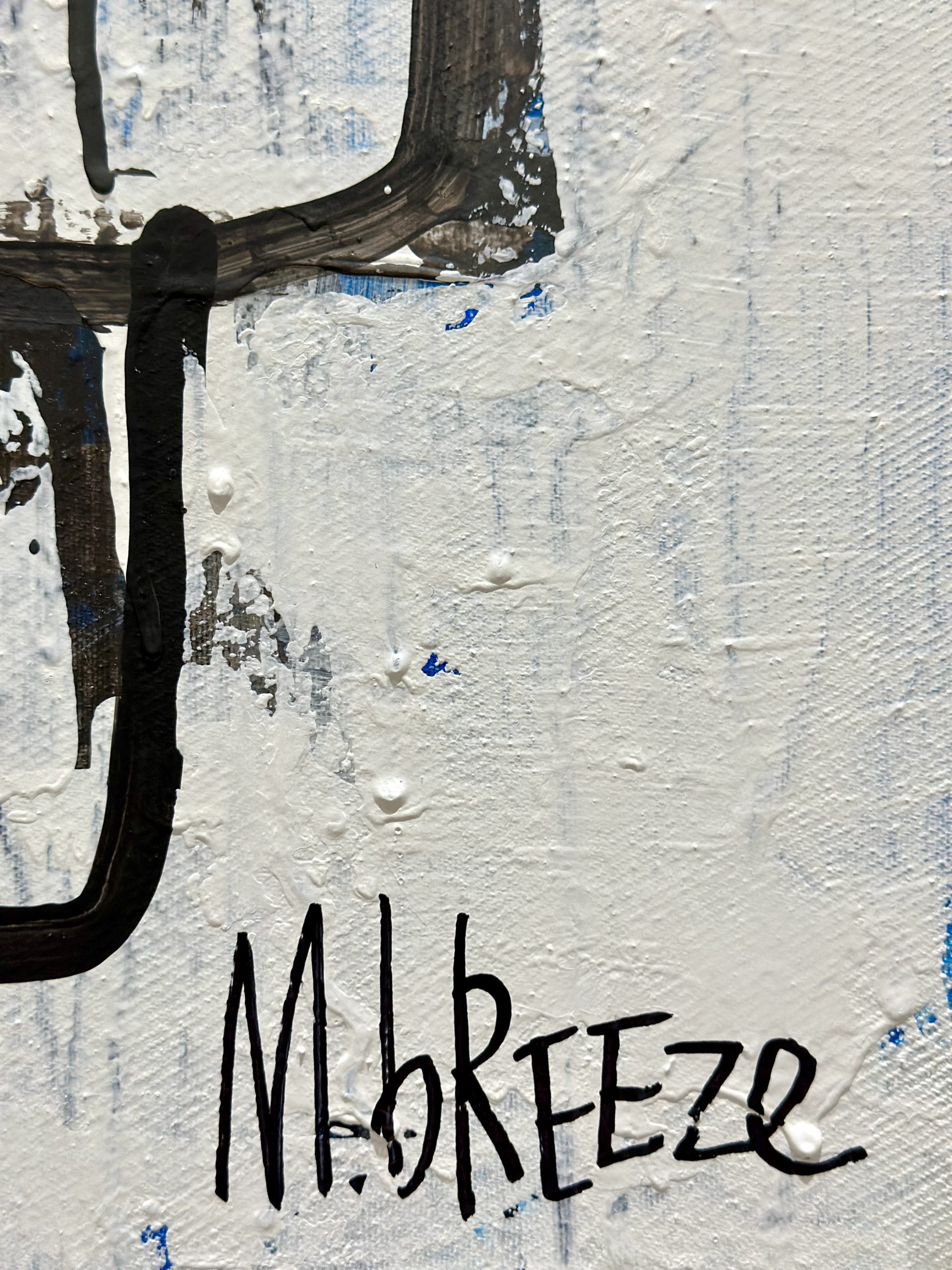 Martin Breeze Mondrians Falcon Signed