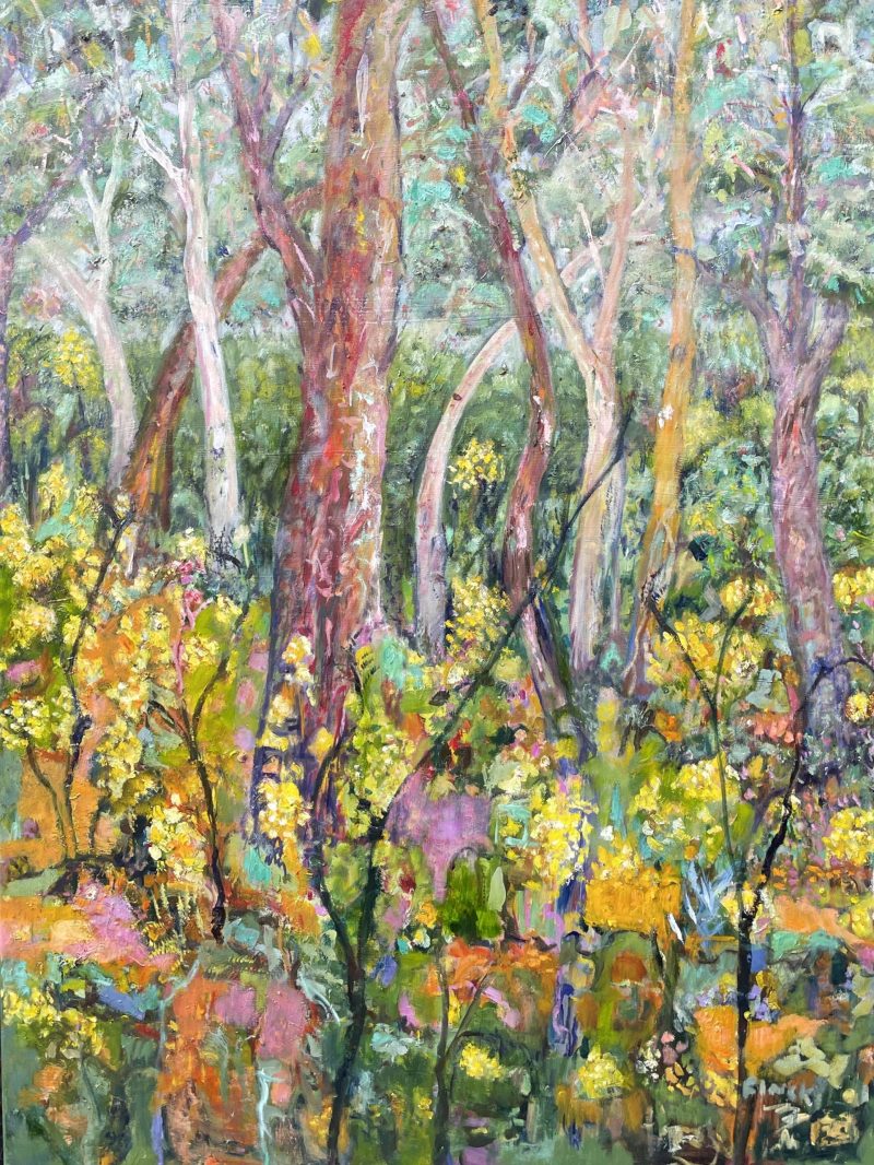 Eucalypts And Wattle