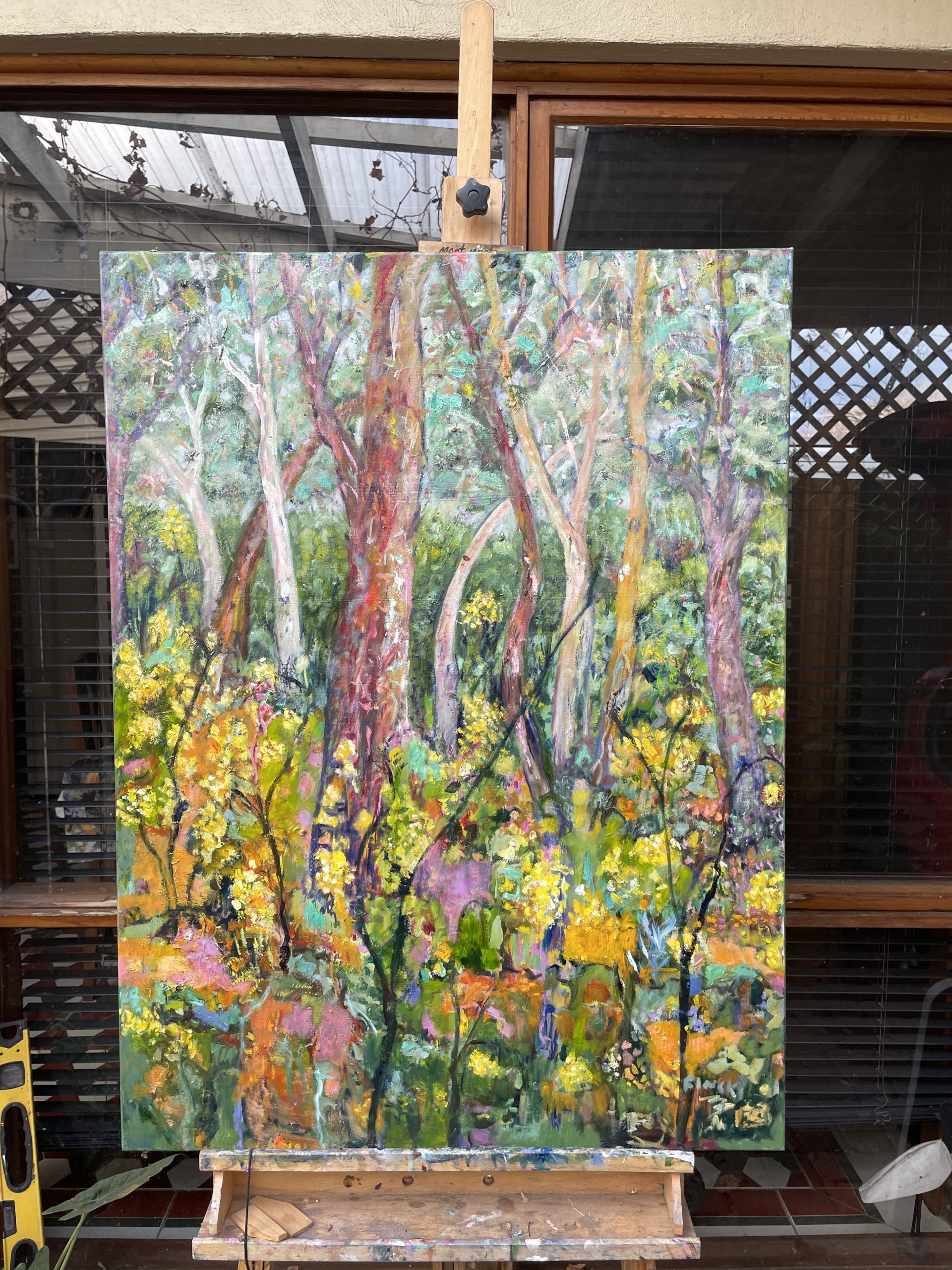 Eucalypts And Wattle Studio View