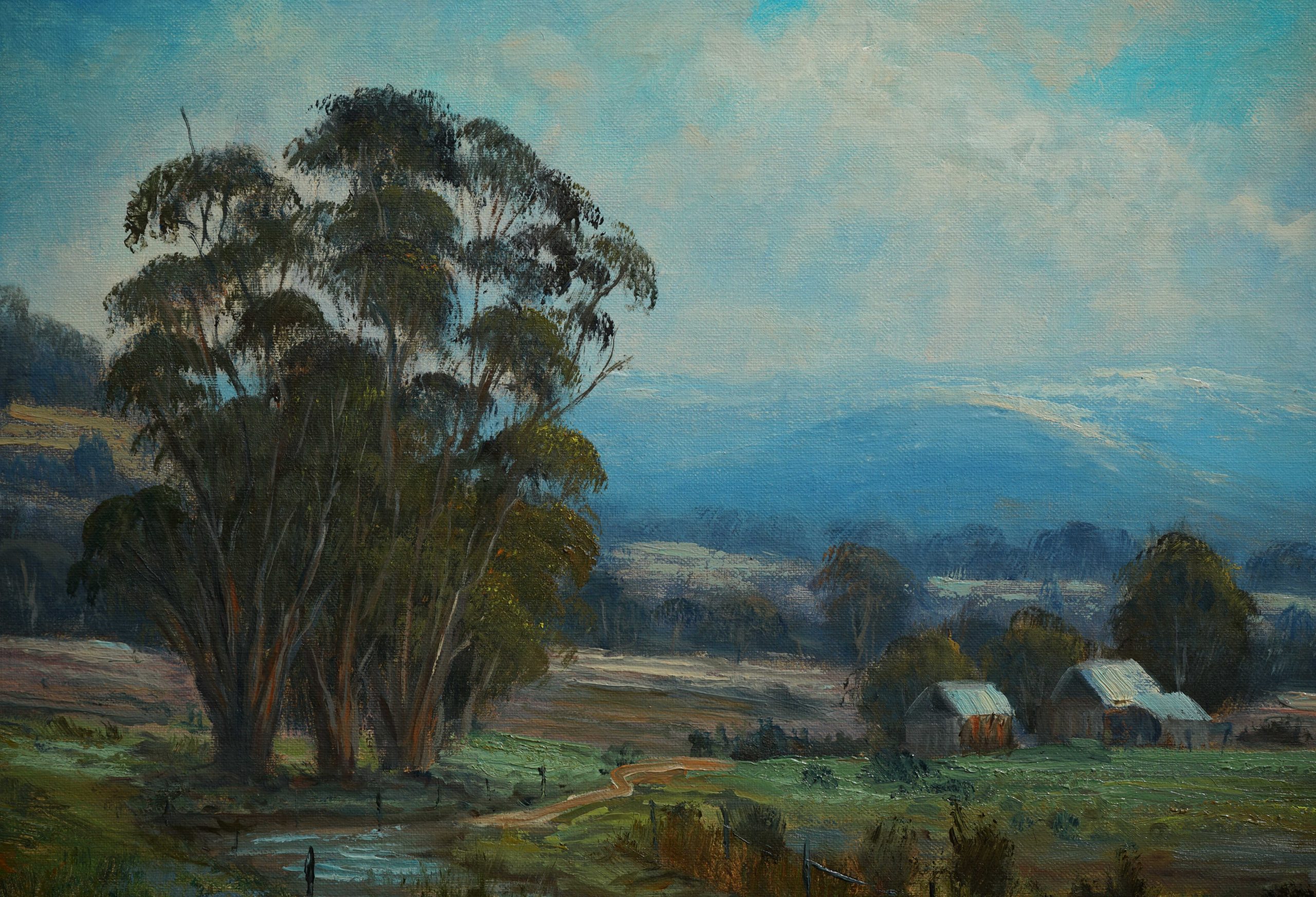 2025p825 A Moody Day Countryside Victoriab Detail 2