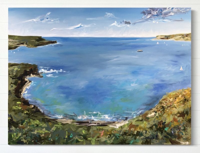 Sydney Heads from Tania Park