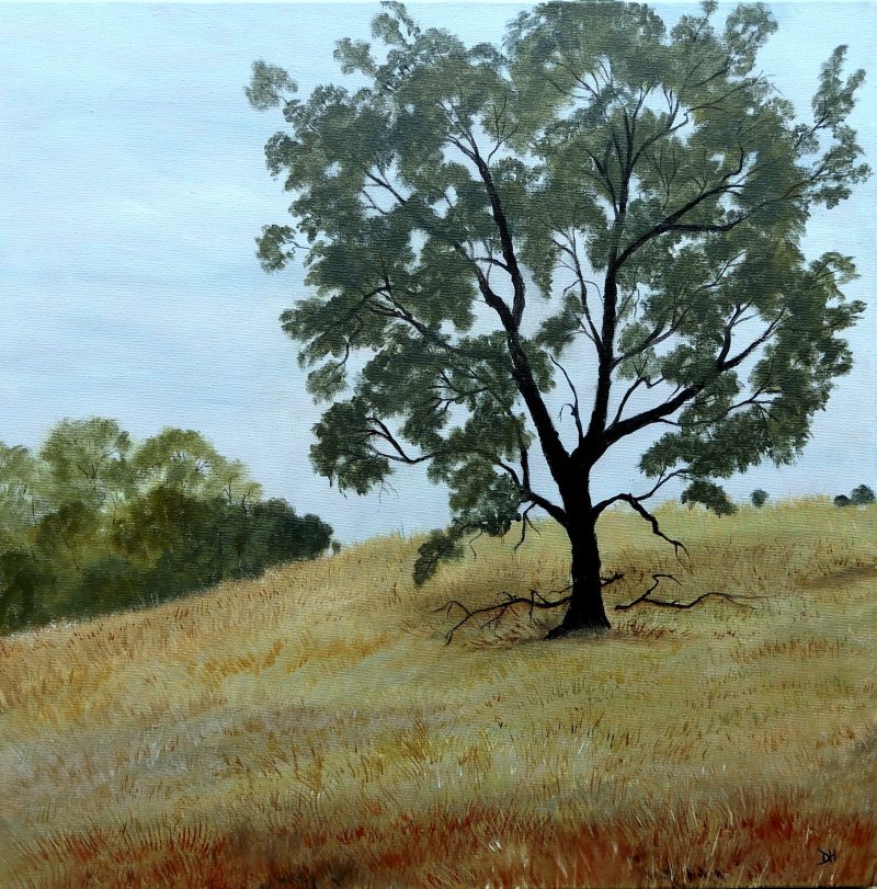 A Tree is a Whole Ecosystem