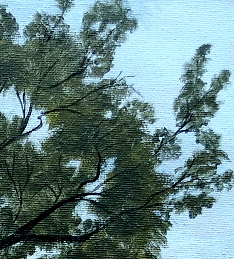 Doodie Herman A Tree Is A Whole Ecosystem Landscape 005