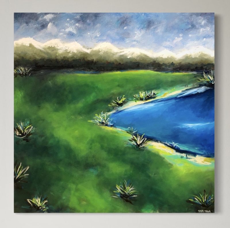 Snowy Mountains country