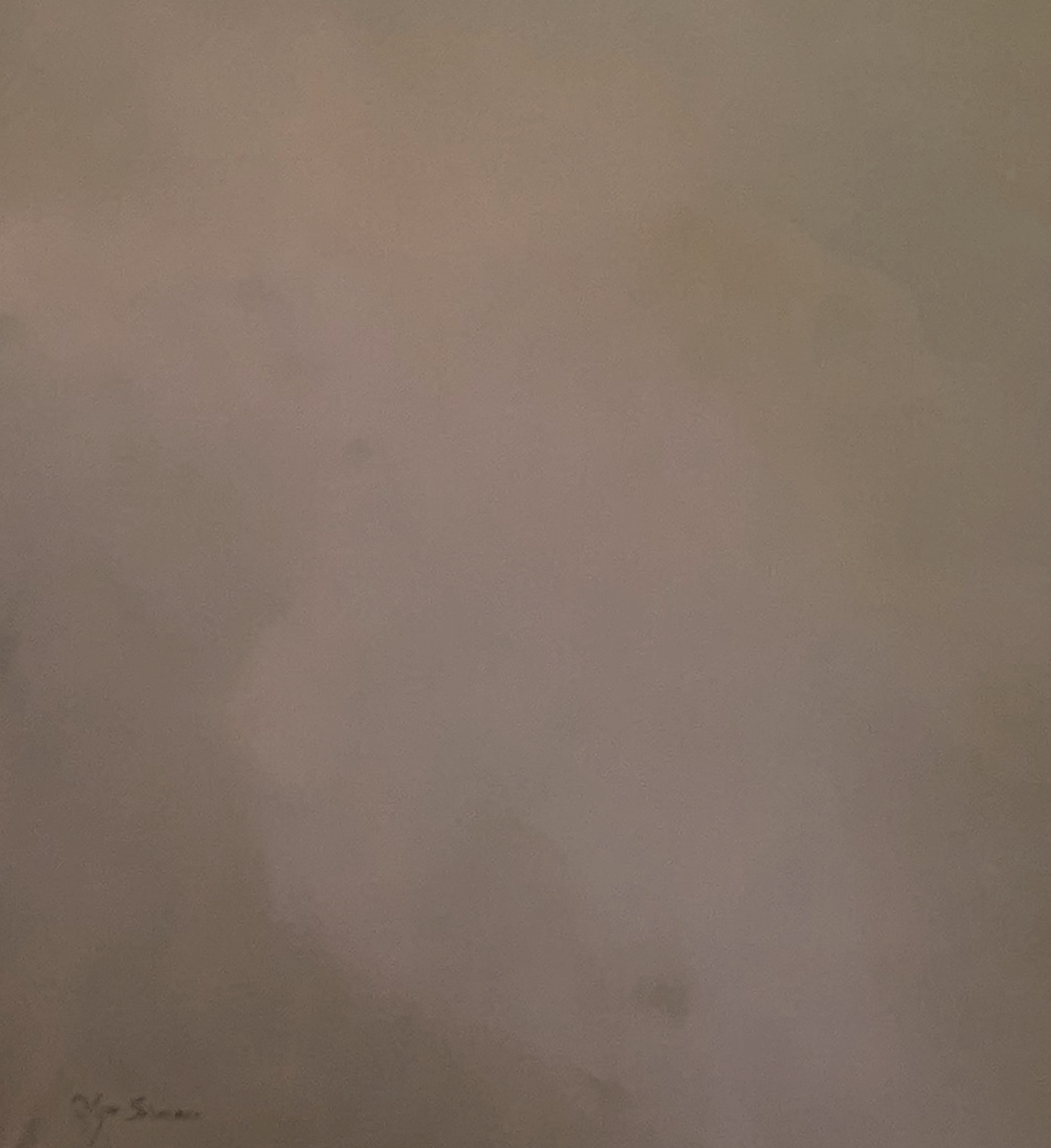 Dusky Silence Gabriela Azar Schreiner 1