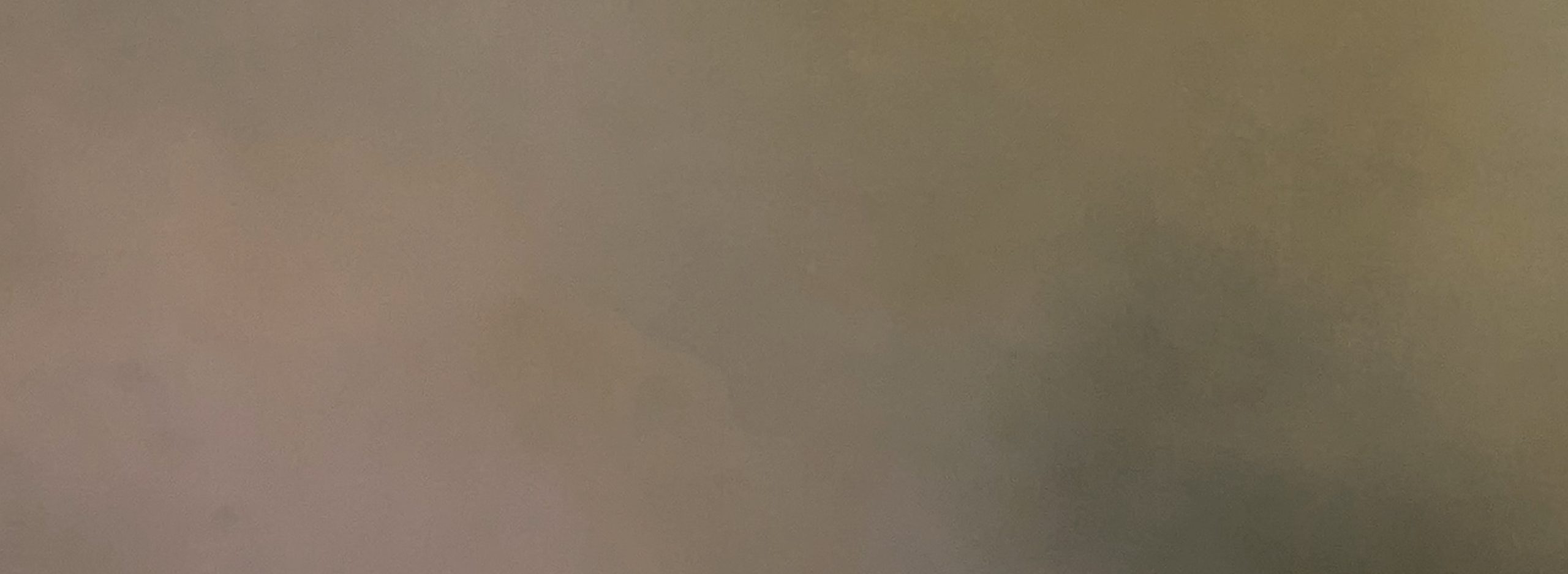 Dusky Silence Gabriela Azar Schreiner 1fg