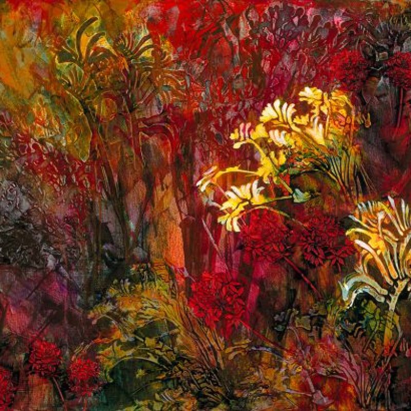 De Gillett Cox Art 262 Kangaroo Paw Hinterland Competition 1024x410