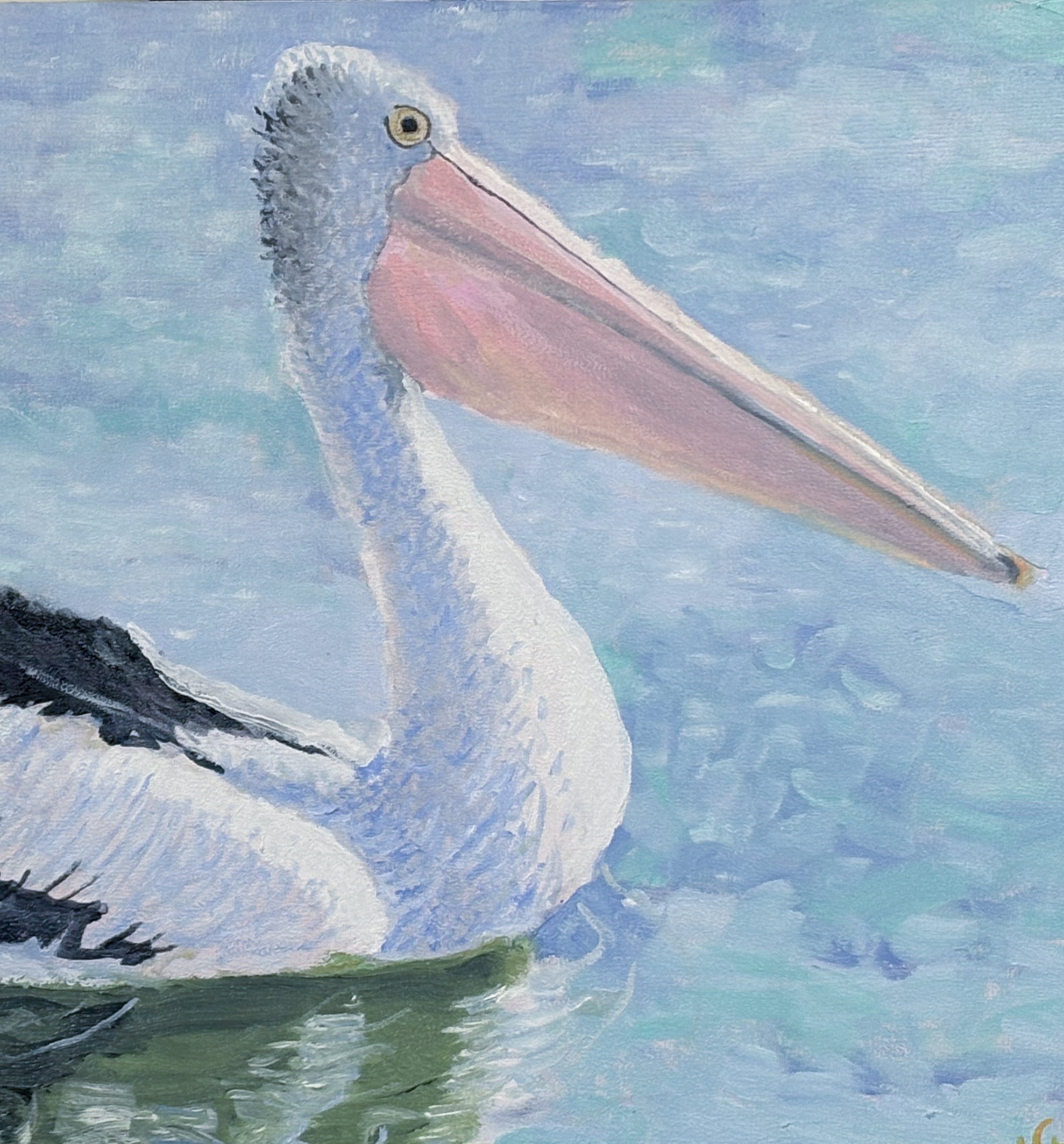 Pelican Detail