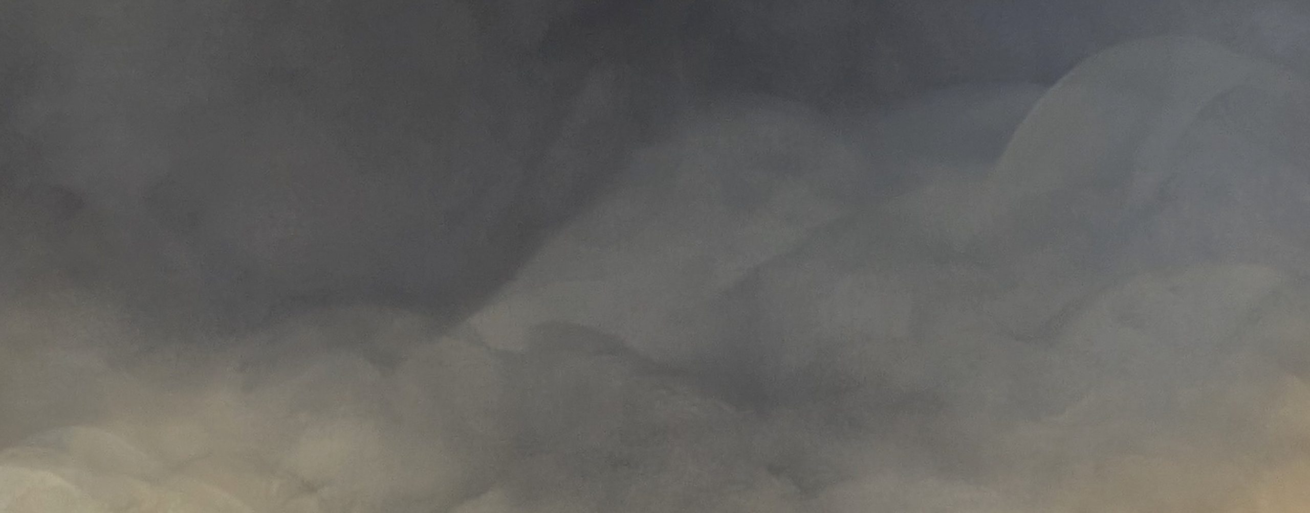 Shadowed Calm Gabriela Azar Schreiner 1rt